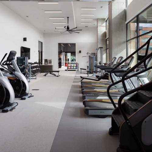Flex Fitness Center cardio equipment lined up facing window paneled wall